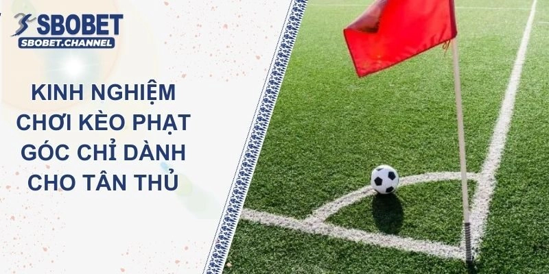 Kinh Nghiệm Chơi Kèo Phạt Góc Chỉ Dành Cho Tân Thủ