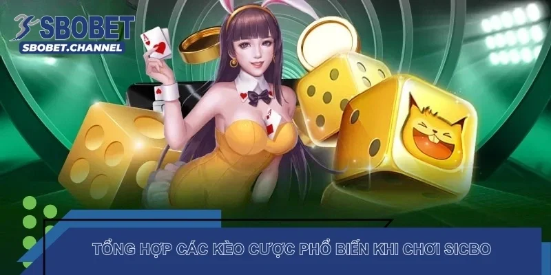 Tổng hợp các kèo cược phổ biến khi chơi sicbo